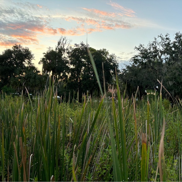 Meet your Posher, Kayla - Picture 1 of 1